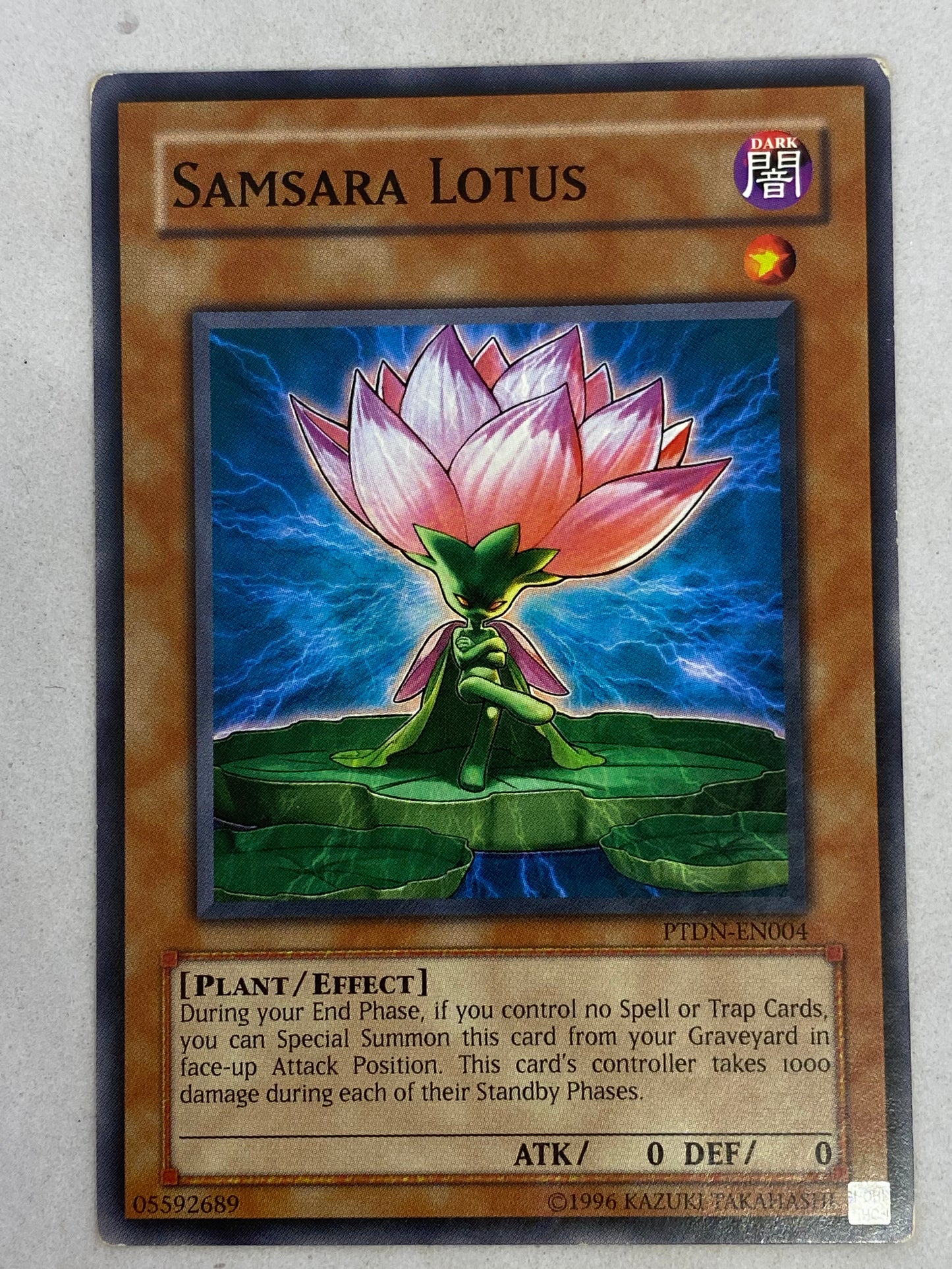 Samara Lotus PTDN-EN004