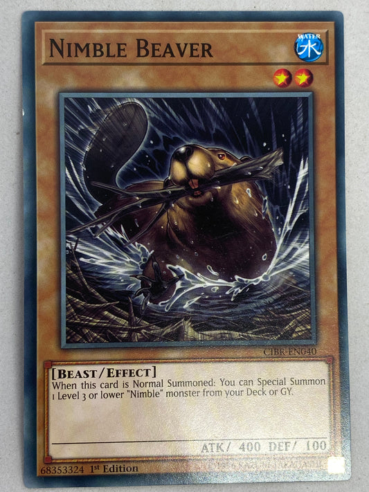 Nimble Beaver CIBR-EN040