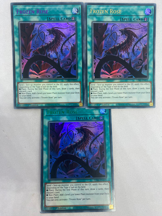 Frozen Rose LDS2-EN119 X3