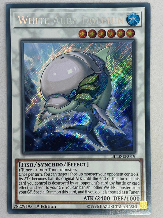 White Aura Dolphin BLLR-EN019