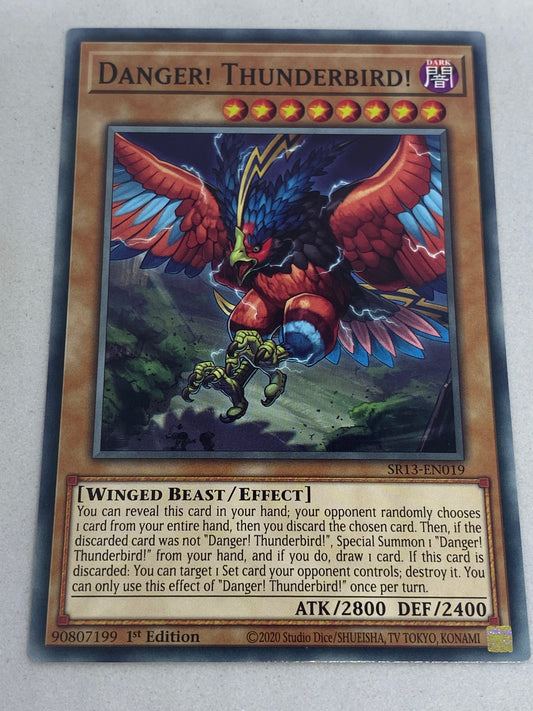 Danger! Thunderbird! SR13-EN019