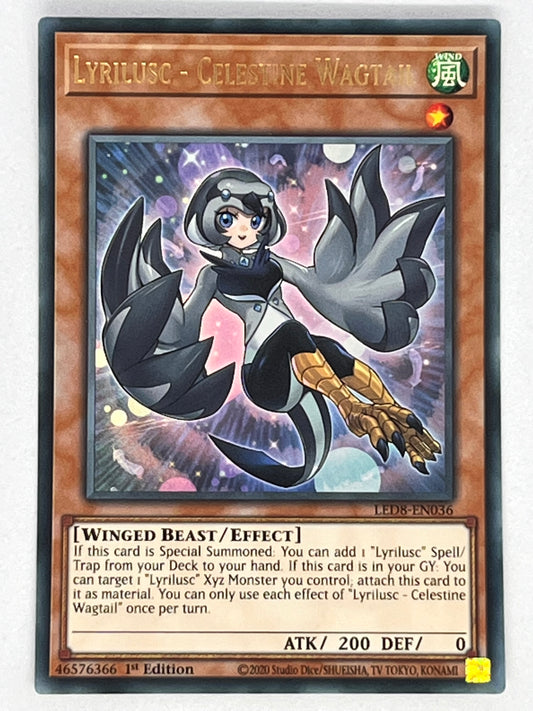 Lyrilusc - Celestine Wagtail LED8-EN036