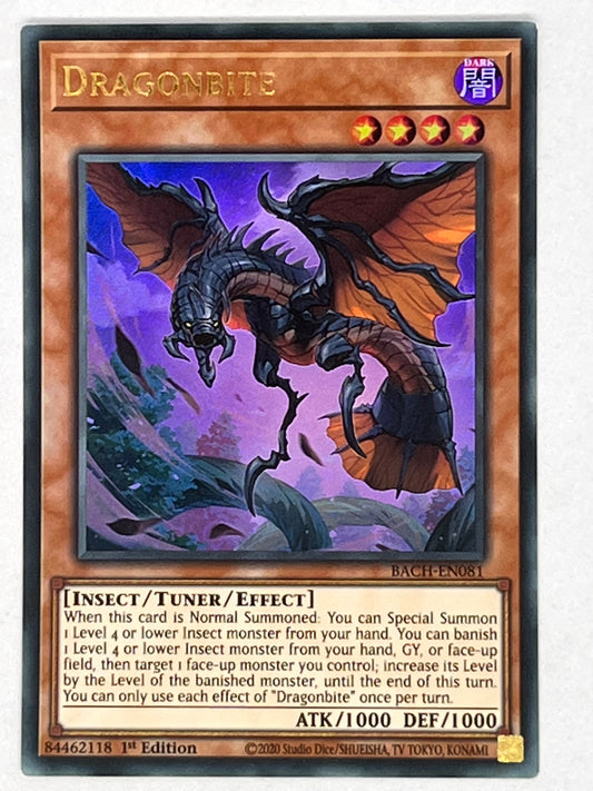 Dragonbite BACH-EN081