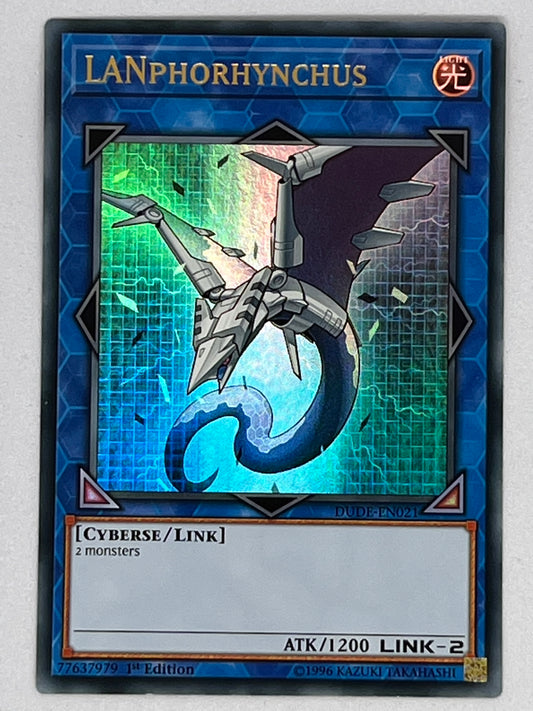 Lanphorhynchus DUDE-EN021