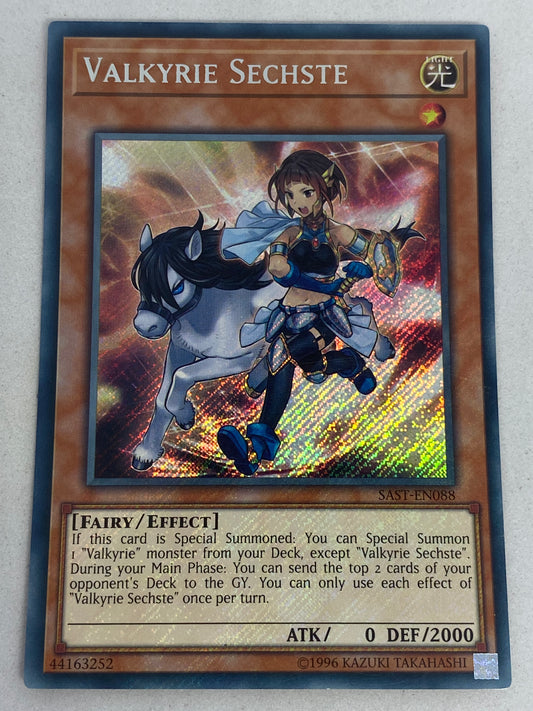 Valkyrie Sechste SAST-EN088