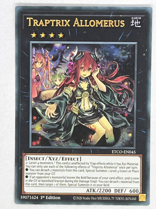 Traptrix Allomerus ETCO-EN045
